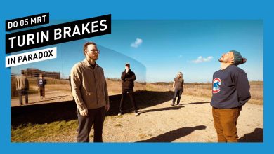 Turin Brakes (UK)